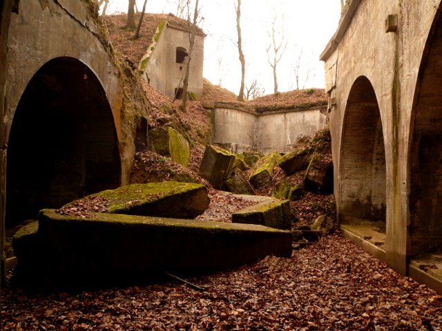 photo8.jpg