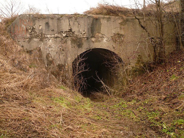 photo.jpg