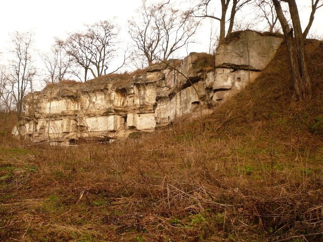 photo.jpg