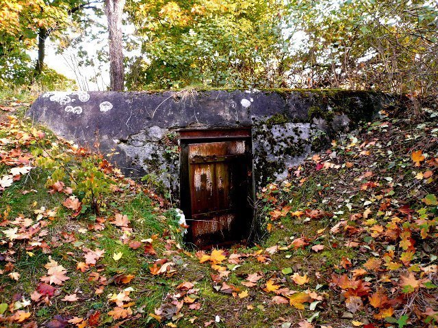 photo11.jpg