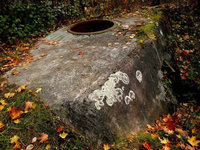 photo8.jpg