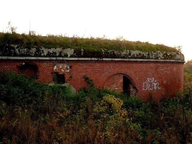 photo11.jpg