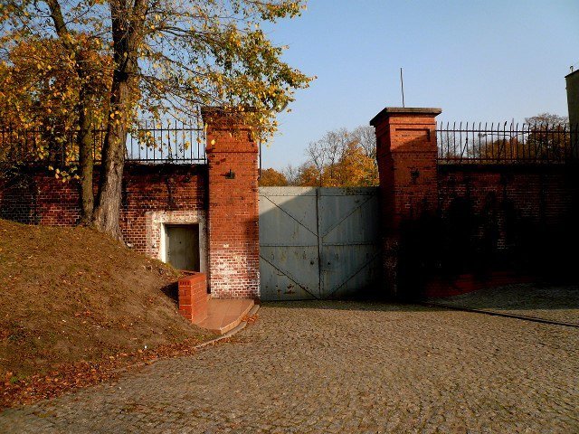 photo.jpg