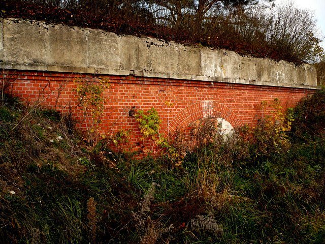 photo6.jpg