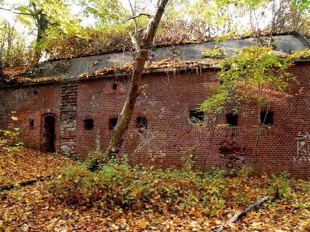 photo6.jpg