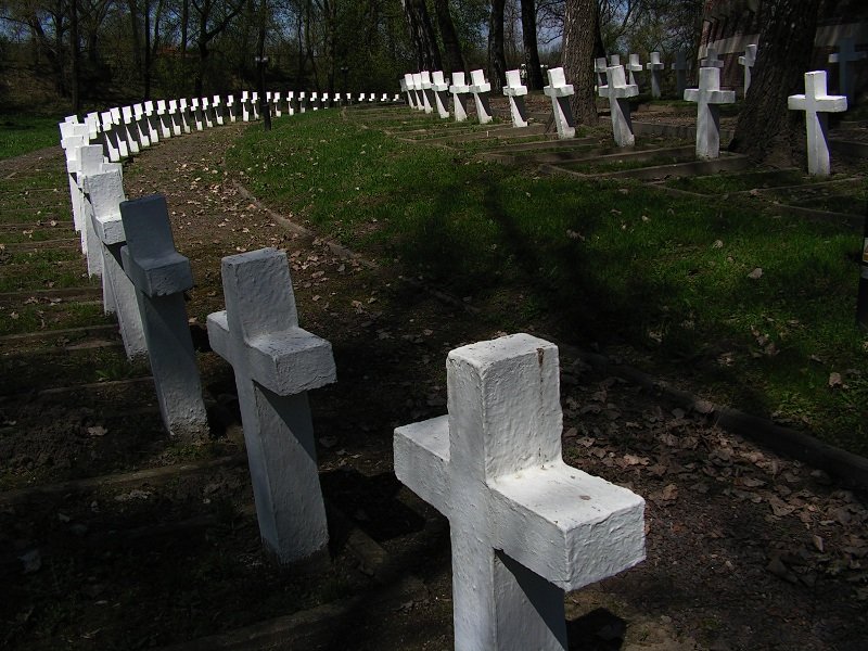 photo15.jpg