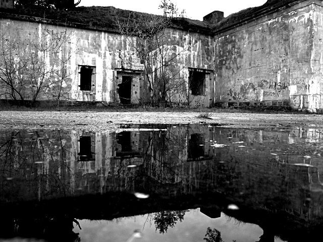 photo14.jpg