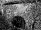 photo9_small.jpg