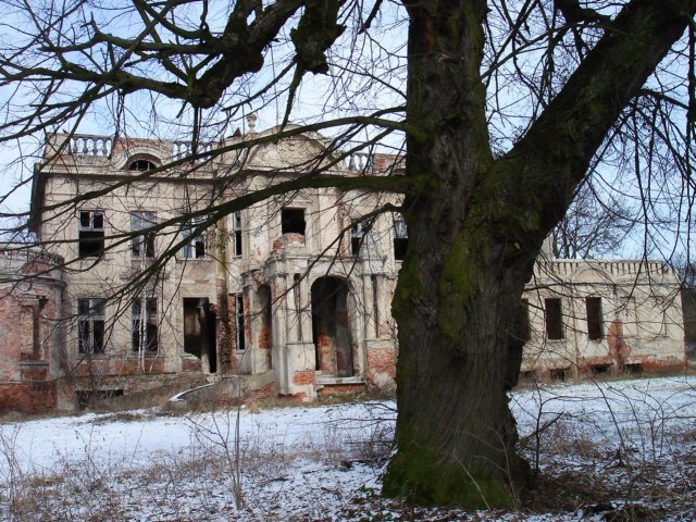 photo31.jpg
