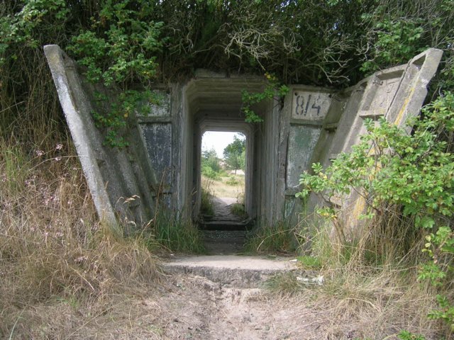 photo2.jpg
