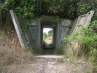 photo2_small.jpg
