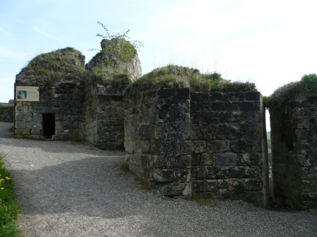 photo7.jpg
