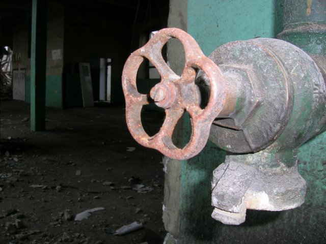 photo7.jpg