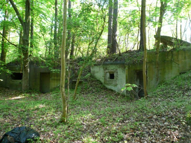photo7.jpg