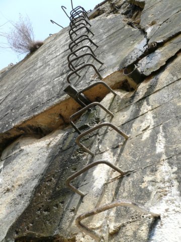 photo8.jpg