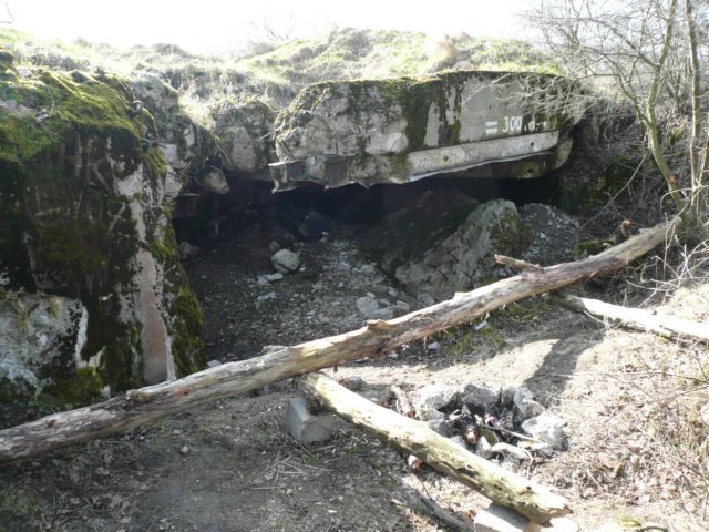 photo.jpg