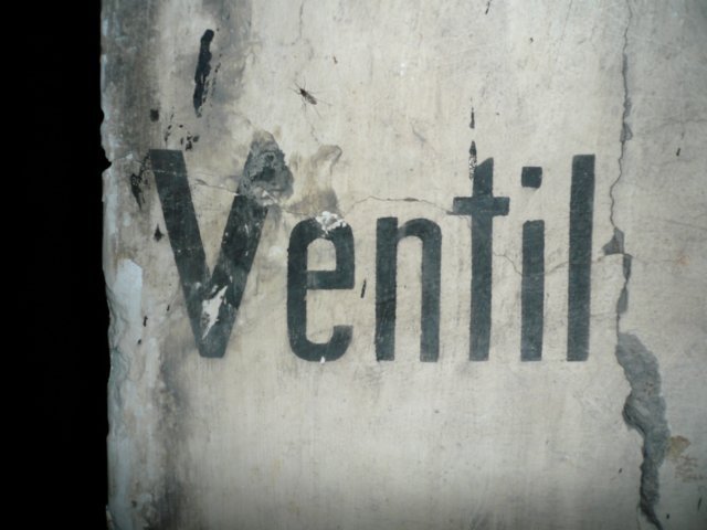 photo7.jpg