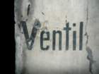 photo7_small.jpg
