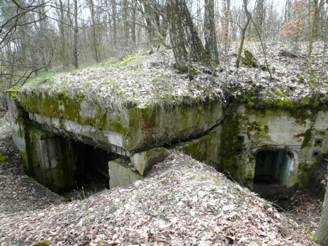 photo.jpg