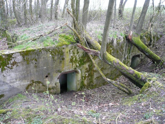 photo6.jpg
