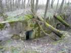 photo6_small.jpg