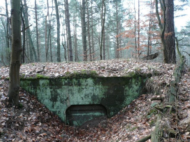 photo8.jpg