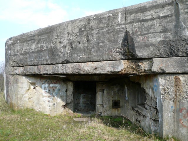 photo.jpg