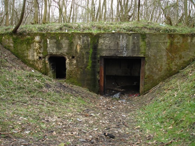 photo5.jpg