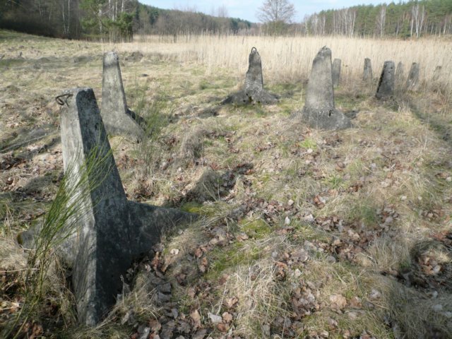 photo.jpg