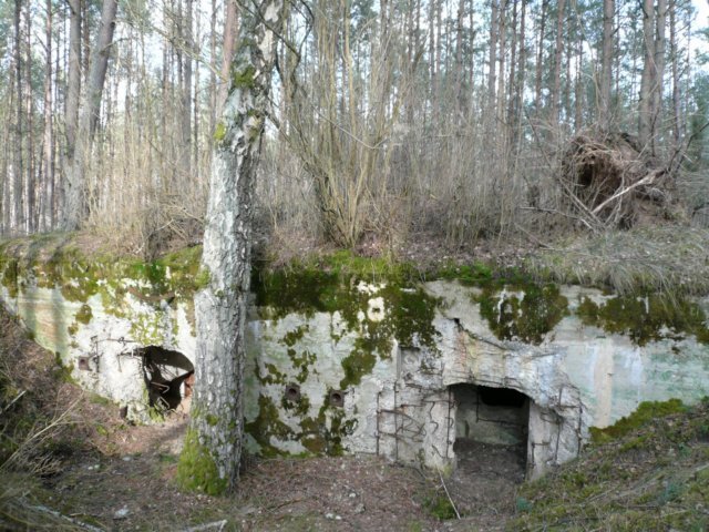 photo10.jpg