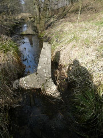 photo2.jpg