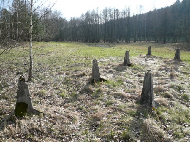 photo3.jpg