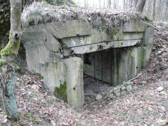 photo7.jpg