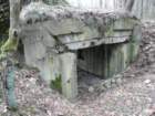 photo7_small.jpg