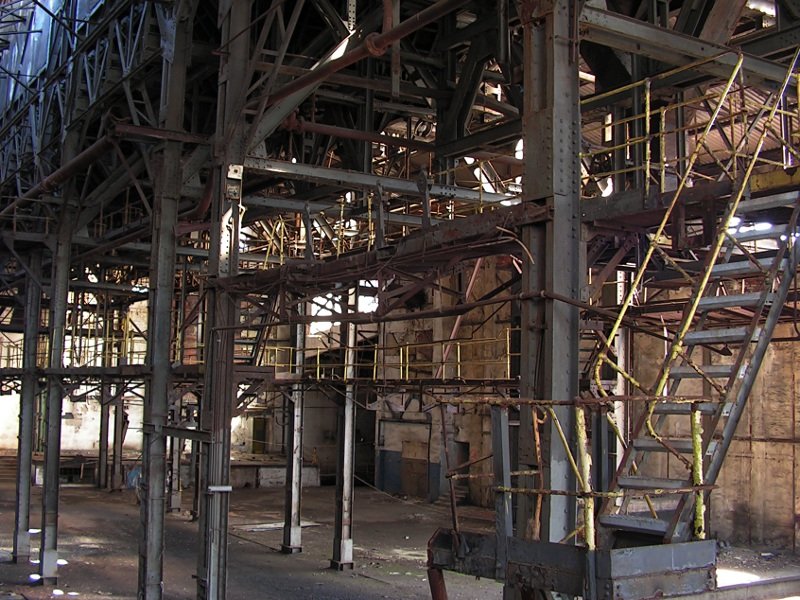 photo7.jpg