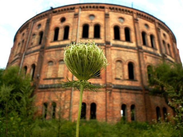 photo2.jpg