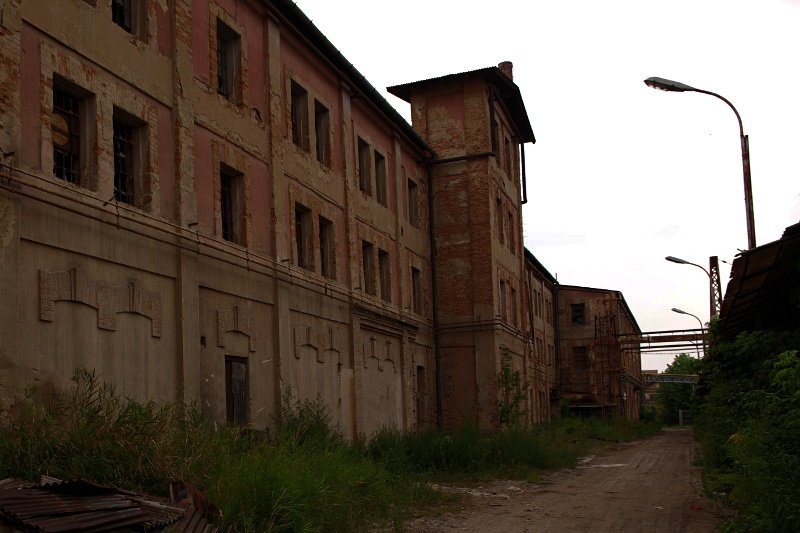 photo.jpg