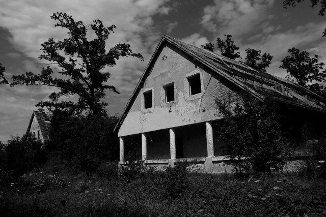 photo.jpg