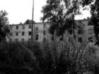 photo3_small.jpg