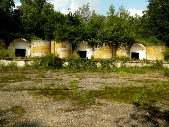 photo6.jpg