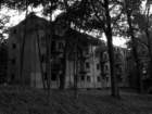 photo2_small.jpg