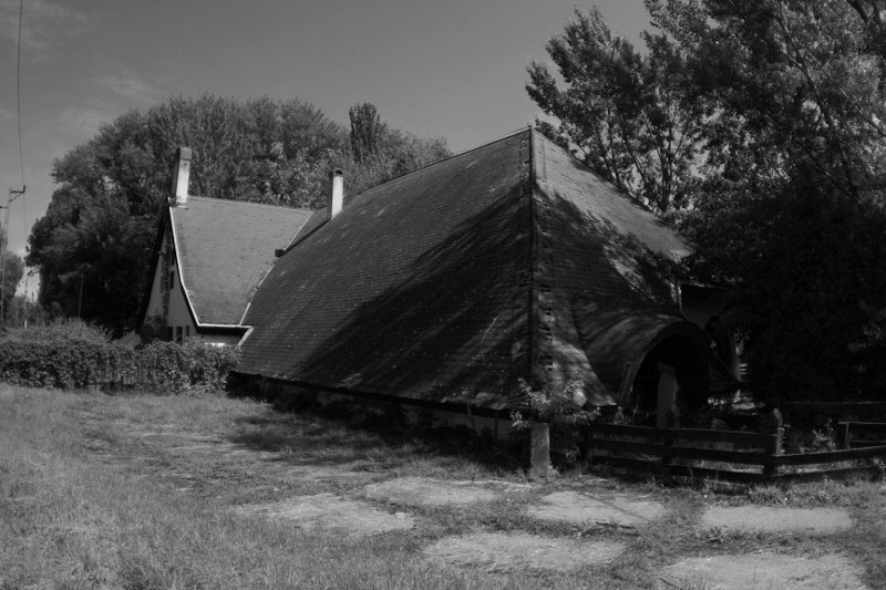photo.jpg