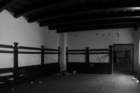 photo5_small.jpg