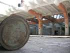 photo11_small.jpg