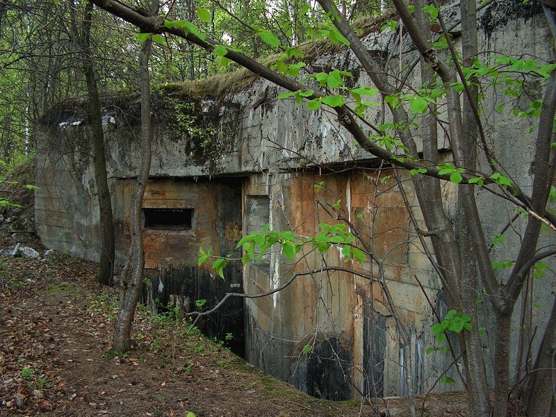 photo.jpg