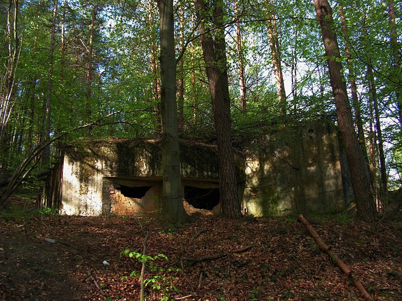 photo10.jpg