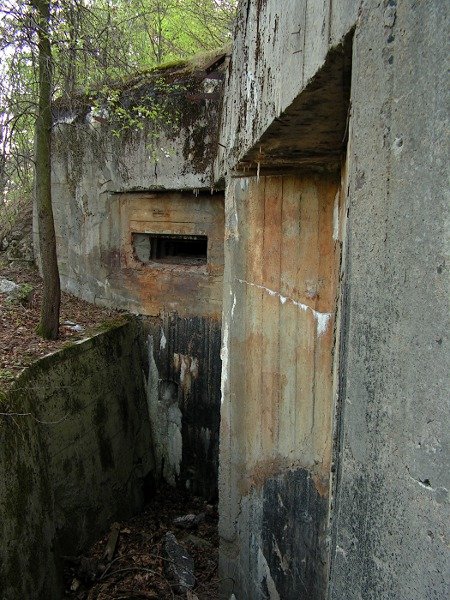 photo14.jpg