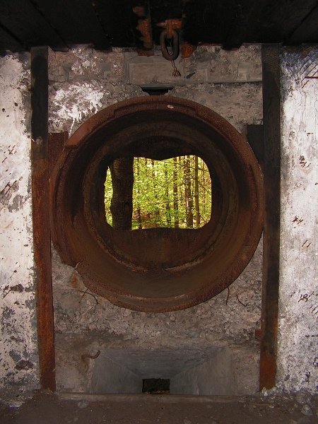 photo2.jpg