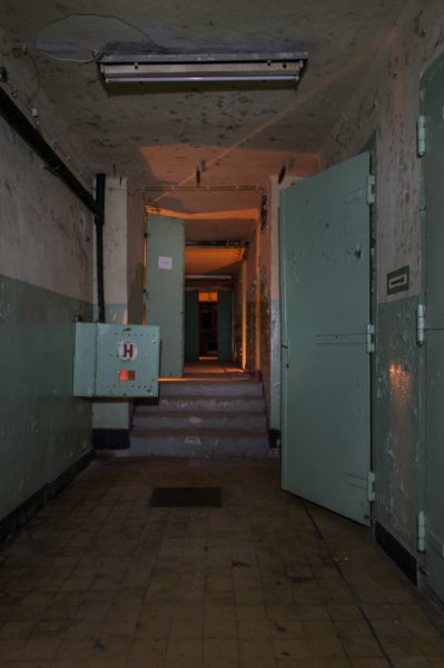 photo4.jpg