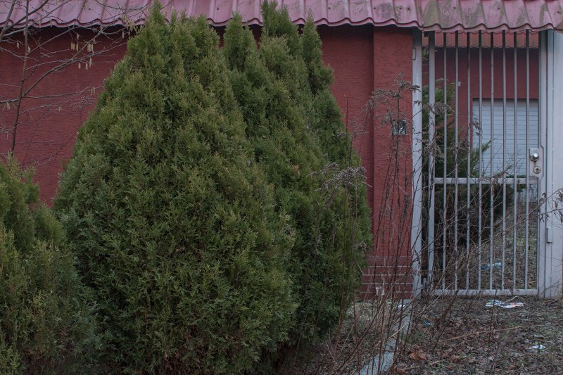 photo.jpg